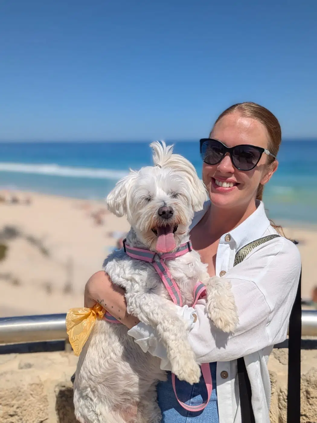 Zoe enjoying a beach outing with a fluffy white dog