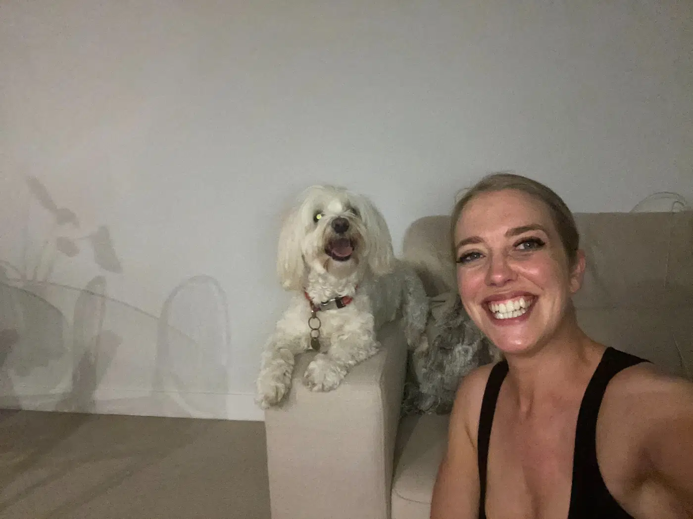 Zoe and a small white dog relaxing together